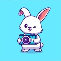 Bunny Photographer