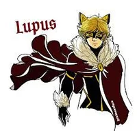 Akumatized Chat Noir