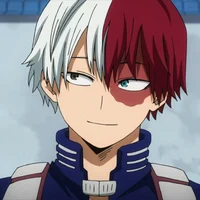 Shoto Todoroki