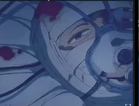 Class 1a X dying per