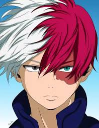 Shoto Todoroki
