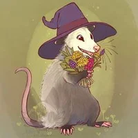 Opossum Wizard