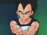 Vegeta IV