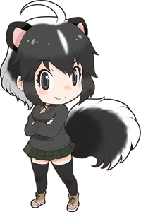 Striped Skunk