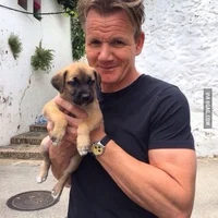 Gordon Ramsay