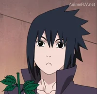 Sasuke Uchiha 