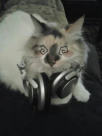 00 - ABT THE CREATOR