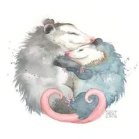 Opossums in Love