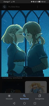 Zelink Botw