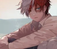 Shoto Todoroki 