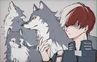 Todoroki 