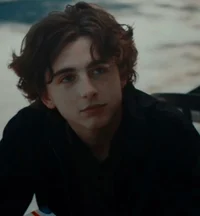 Timothee Chalamet