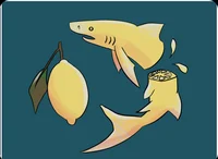 Lemon shark boy