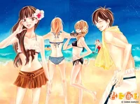 Kimi ni Todoke Beach