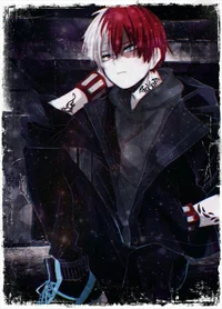 Shoto todoroki 