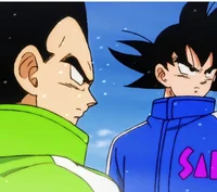 Goku and Vegeta