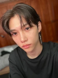 lee felix