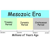 Mesozoic Era