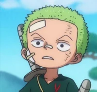 Child Zoro