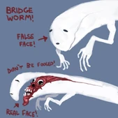 Bridge Worm