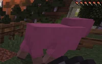 Pink sheep