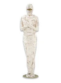 Illuminated Mummy