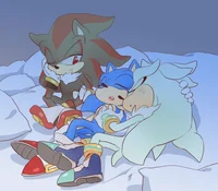 Shadow Sonic Silver