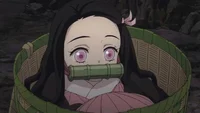 Nezuko Kamado