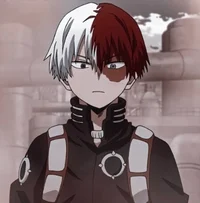 Shoto Todoroki 