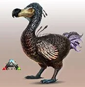 Dodo ark