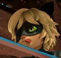 Cat Noir 