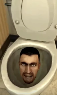 Skibibi Toilet