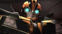 TFP Bumblebee