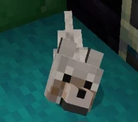 Minecraft puppy