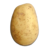 Potato