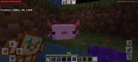 Minecraft axolotl