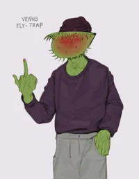 Fly trap