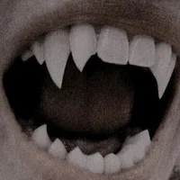 Histoire de Vampires