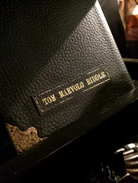 Tom Riddles diary