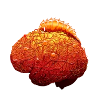 Neurax Patient