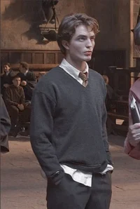 Cedric Diggory 