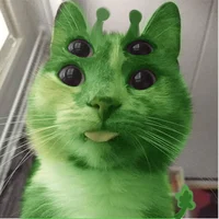 Alien Cat