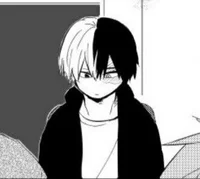 Shoto todoroki 