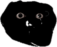 F2yhwuhish