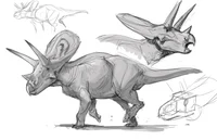 WWD torosaurus life