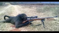 Sniper Monke