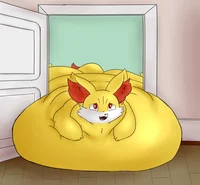 fennekin gorda
