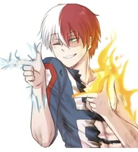 Shoto todoroki 