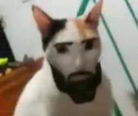da gegachad cat