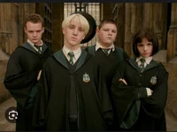 The Slytherin Gang